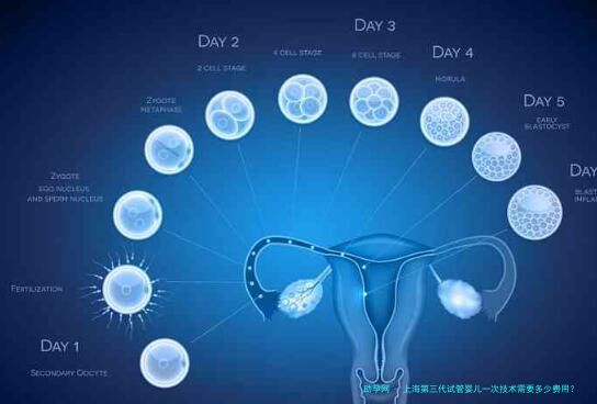 上海第三代试管婴儿一次技术需要多少费用？