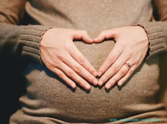 选对医院少走弯路：2024年试管婴儿机构深度解析