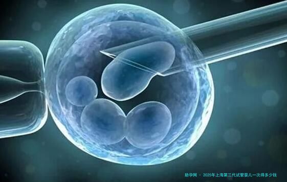 2025年上海第三代试管婴儿一次得多少钱？