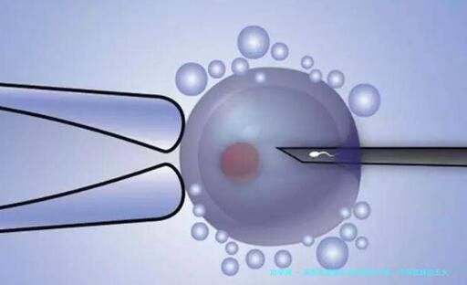 美国试管婴儿成功秘诀分享：怀孕姐妹的五大助孕妙招，助你快速好孕2024