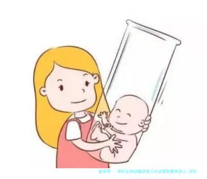 深圳没有结婚证做三代试管的费用多少_深圳没结婚证一胎罚多少！