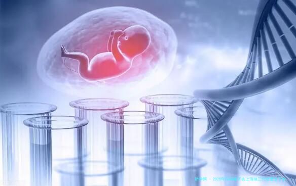 2025年没有精子去上海做三代试管生子的费用是多少？上海三代试管高成功率生孩子？