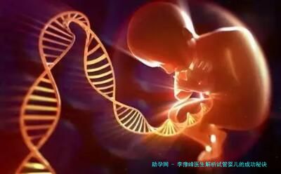 李豫峰医生解析试管婴儿的成功秘诀