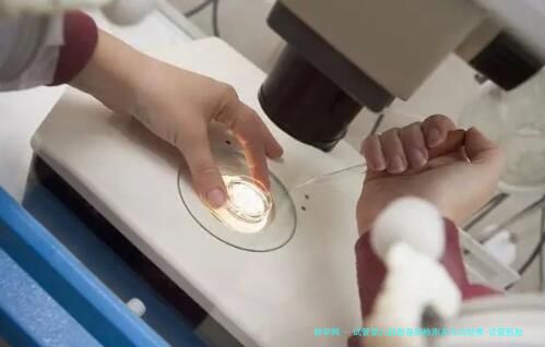 试管婴儿胚胎基因检测多久出结果-试管胚胎基因检测多少钱！