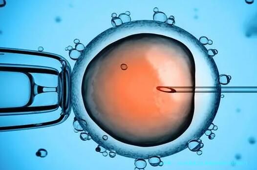2025年国家卫生健康委科学技术研究所门诊部可以用别人的卵泡做试管婴儿吗？费用多少