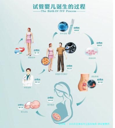 2025年在青岛市立医院做供-卵试管费用多少钱？附医院联系方式