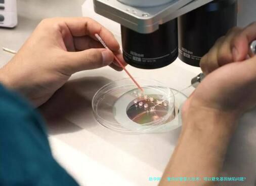 重庆试管婴儿技术：可以避免基因缺陷问题?