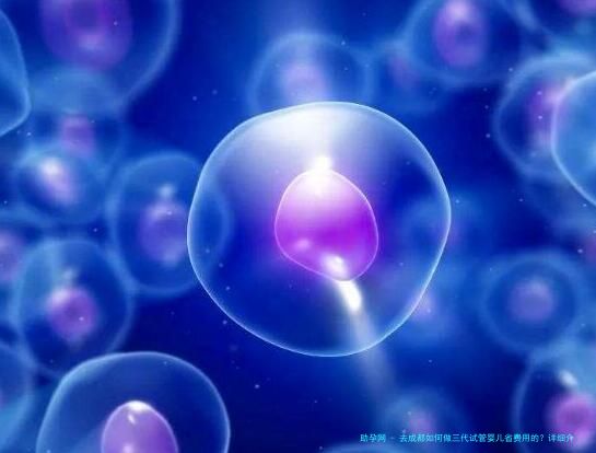 去成都如何做三代试管婴儿省费用的？详细介绍！