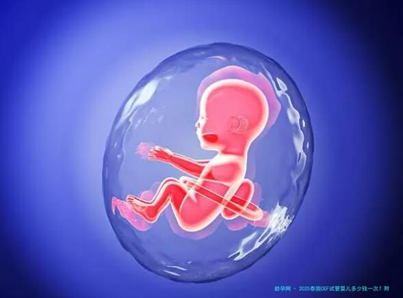 2025泰国CEF试管婴儿多少钱一次？附试管费用一览
