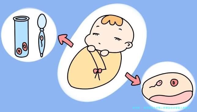 南京医科大学第二附属医院试管婴儿新概览：附详尽助孕预估表（2024版）