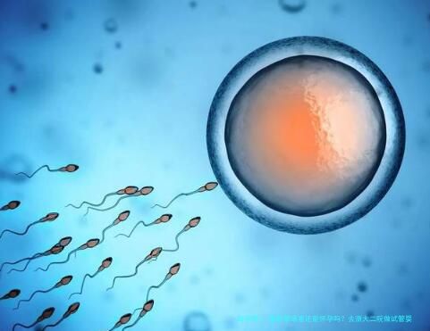 输卵管堵塞还能怀孕吗？去浙大二院做试管婴儿能成功怀上吗？