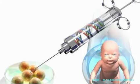 做一次泰国试管婴儿需要多久？