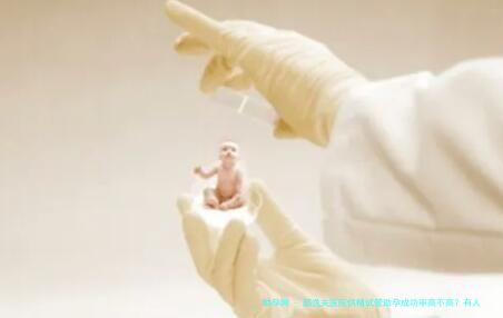 邵逸夫医院供精试管助孕成功率高不高？有人一次成功的吗？