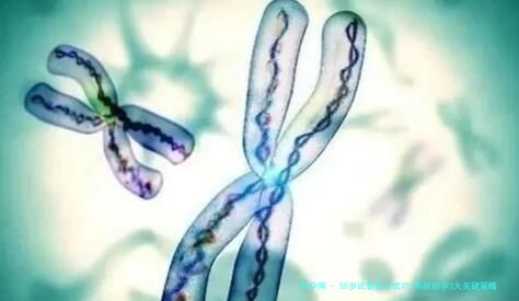 55岁试管婴儿成功!高龄助孕3大关键策略解析,科学备孕指南