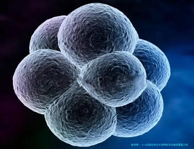 hiv在国内河北大学附院可以做试管婴儿吗？需要什么条件和要求