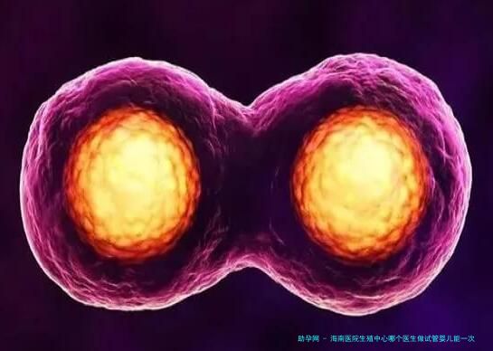 海南医院生殖中心哪个医生做试管婴儿能一次成功？