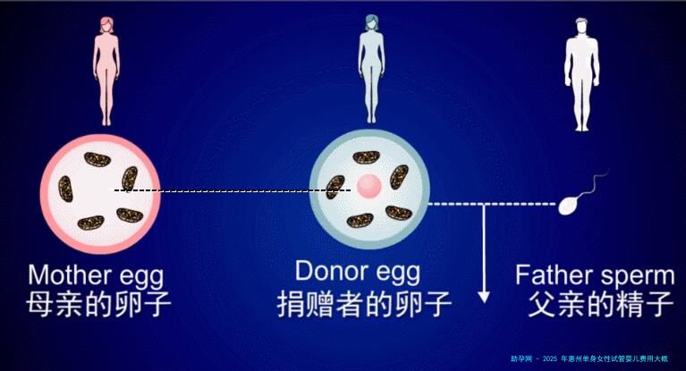 2025 年惠州单身女性试管婴儿费用大概多少？