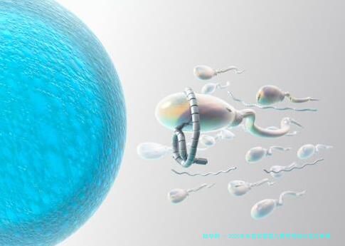 2025年东营试管婴儿费用明细与成功率揭秘