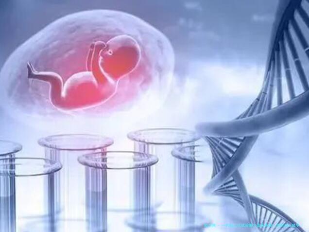 一代和二代试管哪个着床率高？海南海口助孕成功率对比分析!