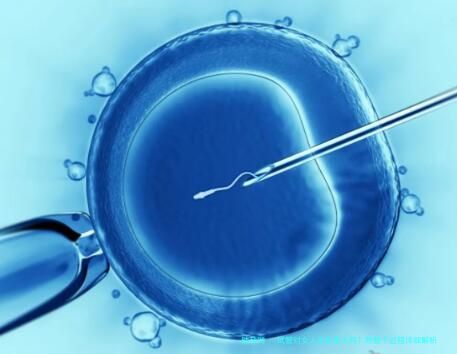 试管对女人的伤害大吗？附整个过程详细解析