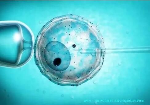 月嫂中心在哪里？高龄女性试管成功率提升的5个科学方法(附地区医院对比)？