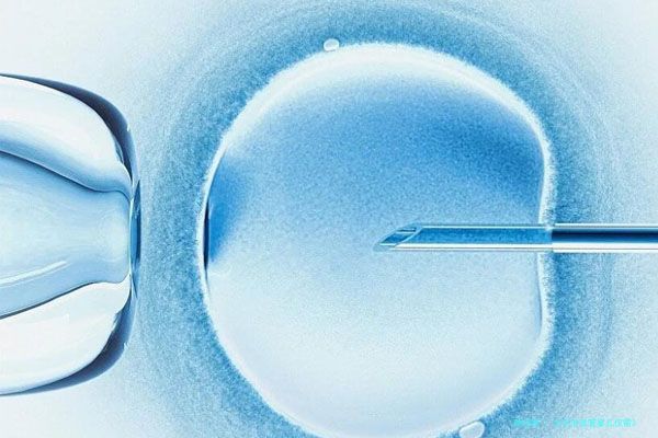 北京市试管婴儿仅需3