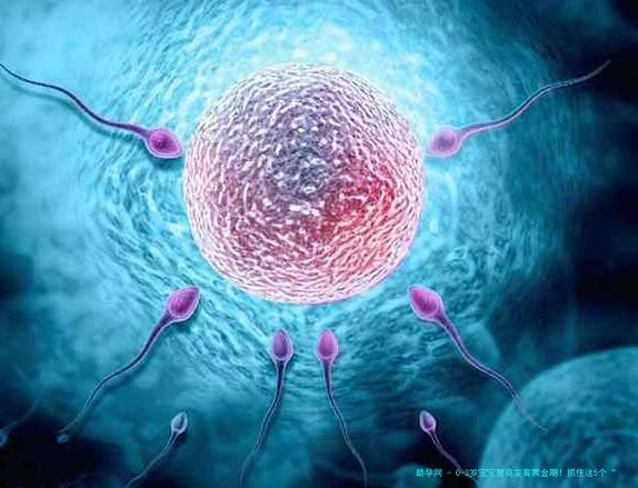 0-3岁宝宝智商发育黄金期！抓住这5个“脑突触爆发点”，比早教班更管用