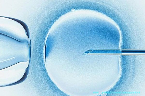 金华能做第三代试管婴儿的医院成功率有多高，附三代试管生殖费用明细