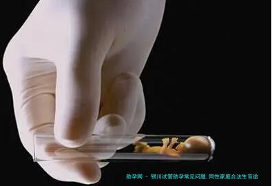 银川试管助孕常见问题,同性家庭合法生育途径全知道!