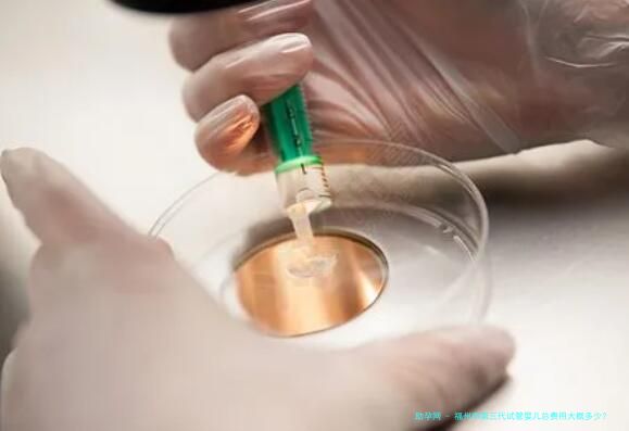 福州市第三代试管婴儿总费用大概多少？