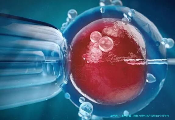 备孕必看！降低习惯性流产风险的5个科学预防策略