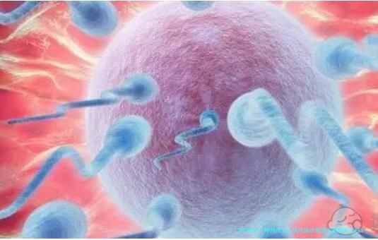 柳州市工人医院做试管婴儿费用多少钱？