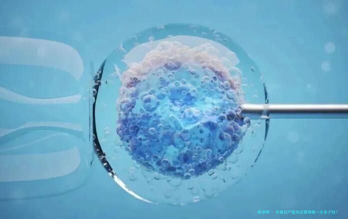 长春妇产医院试管移植一次多少钱？