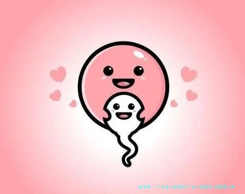 广东省人民医院(广东人民医院)试管婴儿助孕费用是多少？