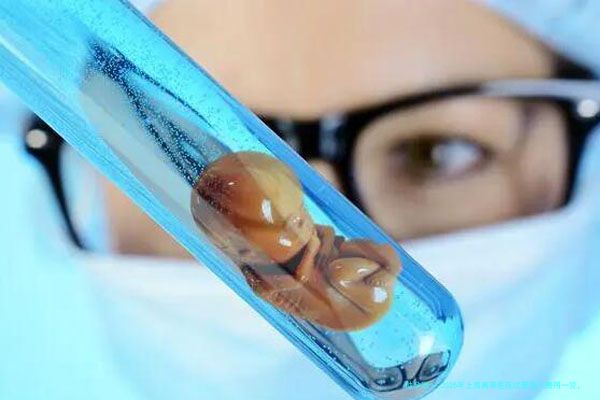 2026年上海真幸医院试管婴儿费用一览，具体费用项目有哪些？