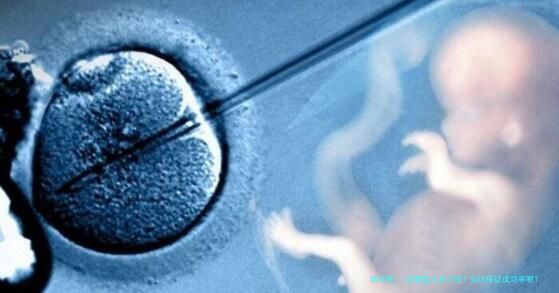 试管婴儿多少钱？如何保证成功率呢？