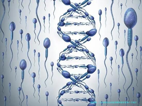 2026年在山东省济南市助孕生育一个孩子预计花多少钱？