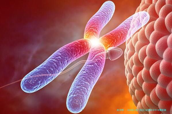 2026年[热门地区]试管助孕怀孕哪家靠谱？高龄妊娠风险如何应对？