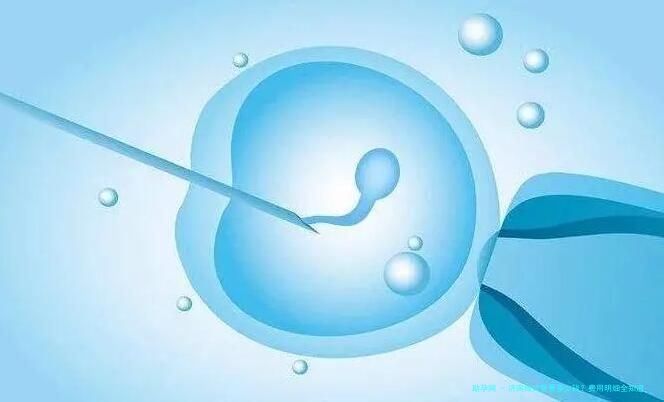 济南做试管要多少钱？费用明细全知道