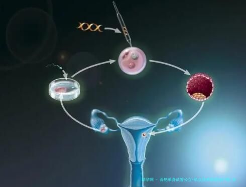 合肥单身试管公立+私立技术医院排行榜_单身女性如何科学选择？2025年安徽医科大学附属医院等前十医院技术对比、数据与费用明细全解析指南