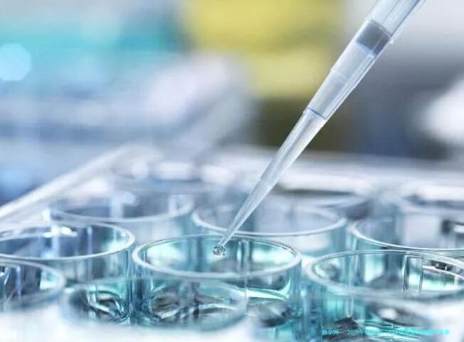 2026年想去江门市做试管婴儿需要准备哪些事？详细收费明细一览