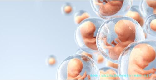 沈阳三代试管包孕价格多少？附费用一览表！