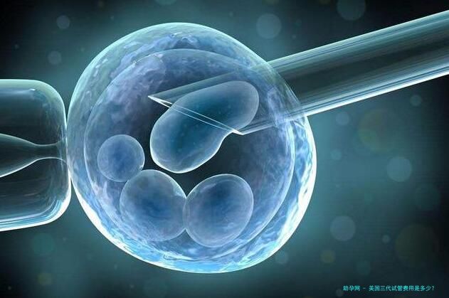 美国三代试管费用是多少？