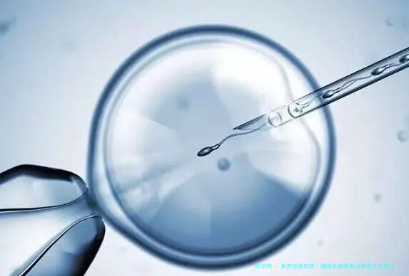 真贵还是假贵？揭晓去泰国做试管婴儿价格大概是多少钱