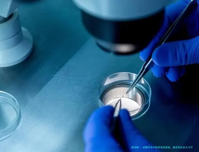 试管怀孕中胎停育的原因，胎停育后多久才可以再次怀孕？
