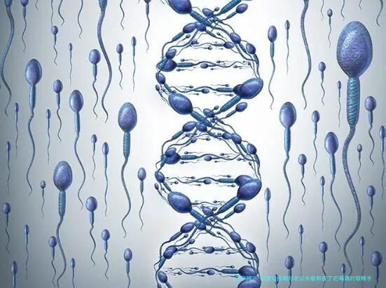 试管促排期间老公失眠熬夜了还喝酒对取精手术有影响吗？