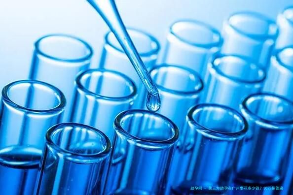 第三方助孕在广州要花多少钱？30万是普遍行情吗？