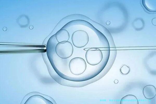 绝经女性做试管助孕的成功率大概有多少？绝经女性做试管成功率高吗？