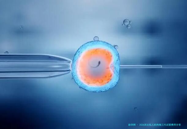 2026河北私人机构做三代试管费用分享