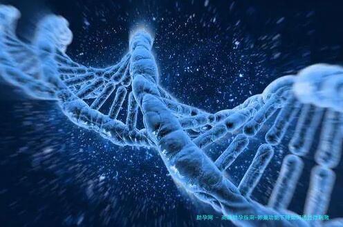 高龄助孕指南-卵巢功能下降如何通过微刺激方案提升卵子质量？